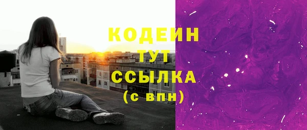индика Корсаков