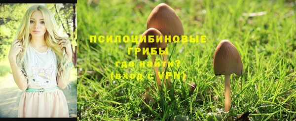 индика Корсаков