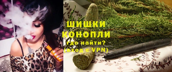 МДПВ Костерёво