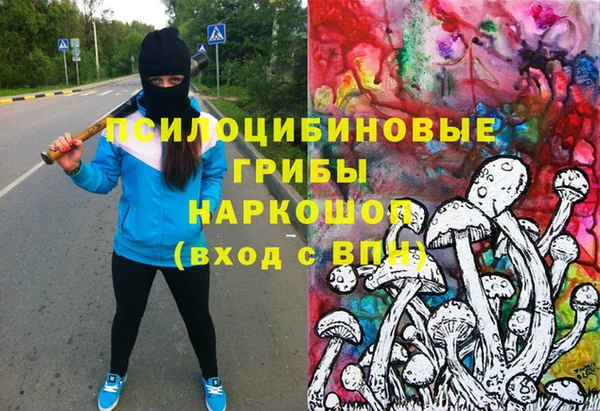 индика Корсаков