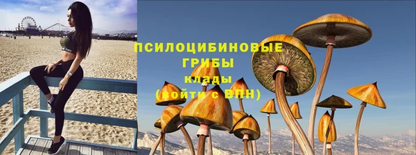 индика Корсаков