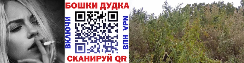 МАРИХУАНА Ganja  Кохма 